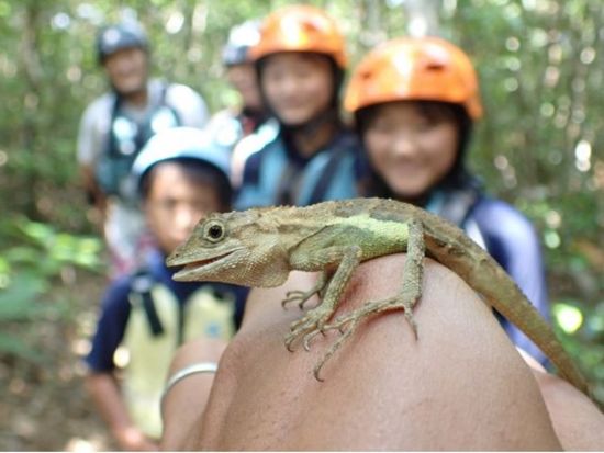 【貸切】半日オオミジャの滝ツアー キャニオニング＆飛び込み体験！夏の定番アクティビティをとことん楽しもう◎＜約3時間／1～7名／送迎可／写真プレゼント＞
