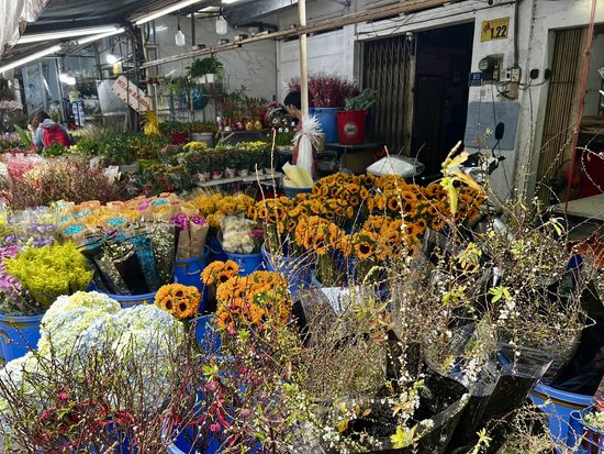 ホーティーキー市場2