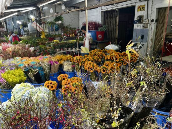 ホーチミン食べ歩きツアー　地元グルメと美しい景色を満喫！ ＜英語または日本語ガイド＞