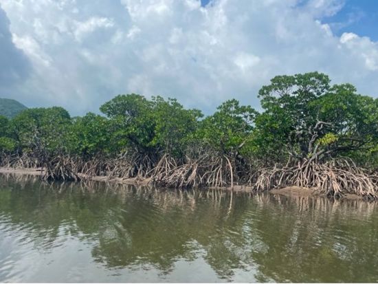 【貸切】1日サンガラの滝ツアー 滝壺＆滝上の絶景を満喫！充実のカヤック＆トレッキング体験＜約7時間30分／昼食付／1～7名／送迎可／写真プレゼント＞