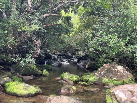 【貸切】1日サンガラの滝ツアー 滝壺＆滝上の絶景を満喫！充実のカヤック＆トレッキング体験＜約7時間30分／昼食付／1～7名／送迎可／写真プレゼント＞