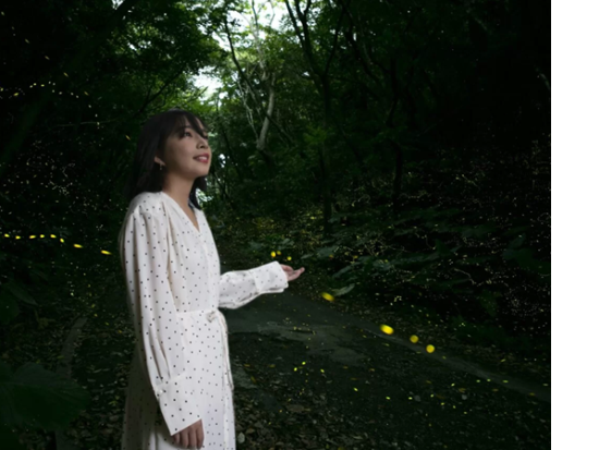 【3～5月限定】ヤエヤマヒメボタル鑑賞ツアー 幻想的な光の舞を体験＜備品貸出・送迎無料／石垣島＞