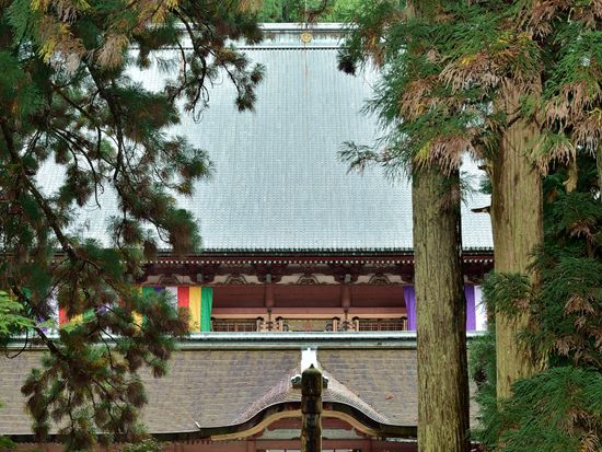 Enryaku_ji_pixta_25997542_比叡山延暦寺根本中堂