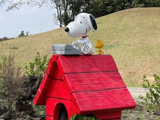 200013641_base_17404707075744