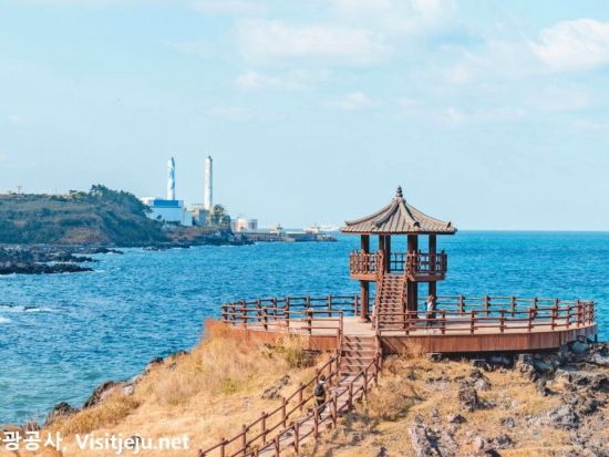 済州島フォトジェニックスポット巡りツアー　スヌーピーガーデン＋月汀里海岸＋タンモル　昼食＆アイスクリーム付き＜日本語ガイド／済州市内or中文地区発着＞