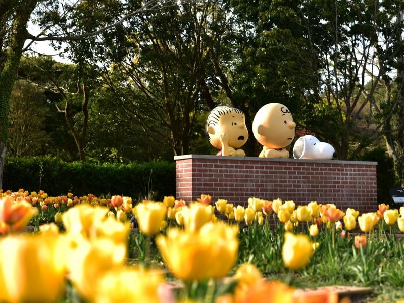 200013641_base_17404707070920