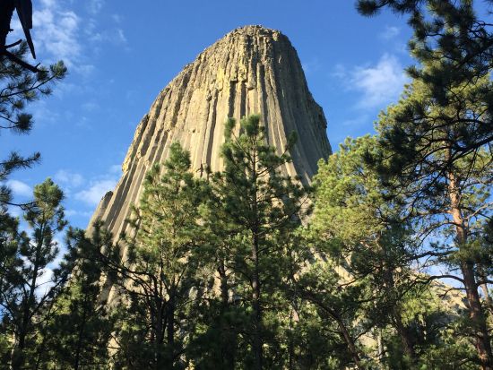 世界遺産イエローストーン国立公園＆デビルズタワー＆マウントラシュモア　3泊4日ツアー ＜5～10月／日本語ガイド／デンバー発ソルトレイクシティ着＞