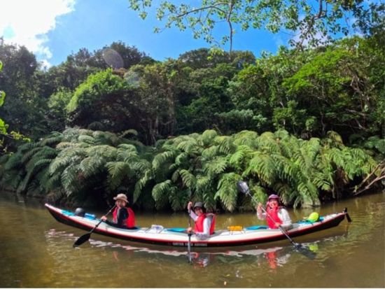 【貸切】マヤグスクの滝ジャングルトレッキング ここでしか見れない絶景を満喫＜1日／昼食付／1～4名／送迎可／写真プレゼント＞