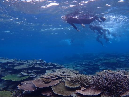 【貸切】鳩間島シーカヤックツアー 島渡り＆シュノーケリング体験も 鳩間ブルーで絶景ランチ付◎＜約6時間30分／1～5名／送迎可／写真プレゼント＞