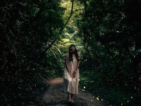 【石垣島／夕方】【期間限定】0～2歳まで無料！ 幻想的な天然イルミネーション・ヤエヤマヒメボタル鑑賞ツアー＜送迎無料＞