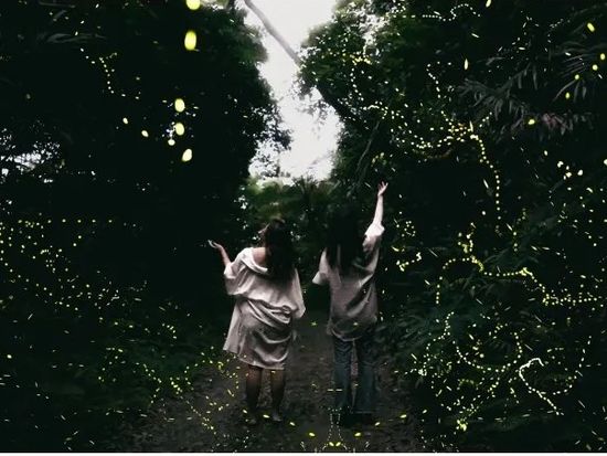 10000005644801_wR6IVpoC_4