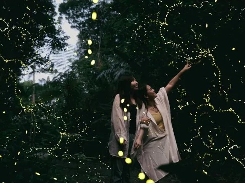 11000005644805_wR6IVpoC_4