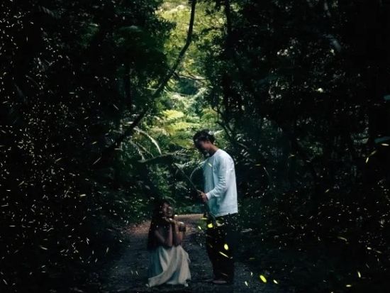 【石垣島／夕方】【期間限定】0～2歳まで無料！ 幻想的な天然イルミネーション・ヤエヤマヒメボタル鑑賞ツアー＜送迎無料＞