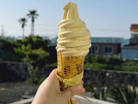 済州島フォトジェニックスポット巡りツアー　スヌーピーガーデン＋月汀里海岸＋タンモル　昼食＆アイスクリーム付き＜日本語ガイド／済州市内or中文地区発着＞