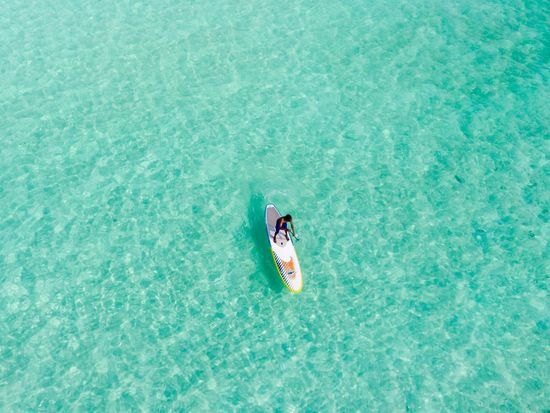モートン島 ワイルドライフクルーズ&タンガルーマ沈没船シュノーケリング　送迎付きプランあり！＜昼食付／英語ガイド／ブリスベン発＞の写真5