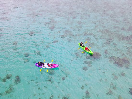 奄美大島【シーカヤック】ウミガメも暮らす美しい奄美の海を楽しむ ドローン撮影無料・データープレゼント！お一人様も可能 by 奄美シーランド