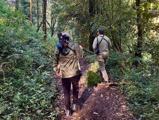 ケツアール観察ツアー3