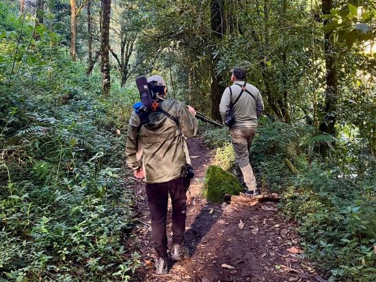 早朝バードウォッチングツアー　野鳥の宝庫！サンヘラルド・デ・ドタで幻の鳥ケツァールを探す＜朝食付き／英語ガイド／サンホセ発＞