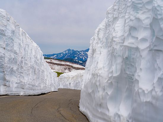 pixta_91025860_M (1)