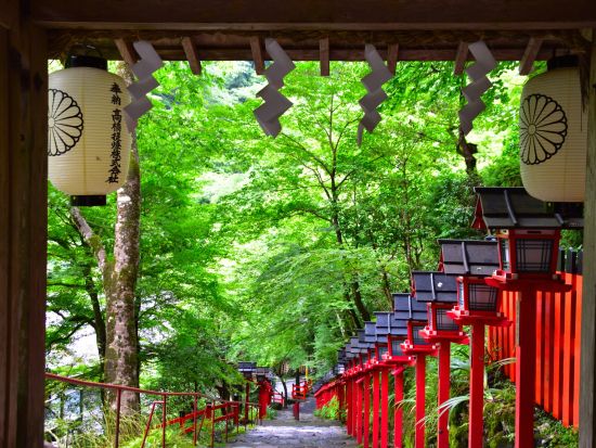 京の奥座敷・貴船の川床料理と貴船神社 京都の夏の風物詩や世界遺産へもご案内＜梅田 or 新大阪発＞