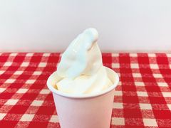 南信州ソフト