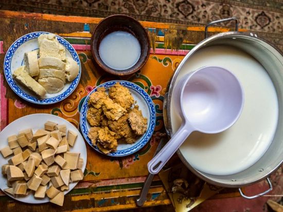 【日帰り or 1泊2日】モンゴル大草原で野生馬に出会う！ホスタイ国立公園ツアー＋遊牧民宅訪問プライベートツアー＜日本語ガイド／ウランバートル発＞