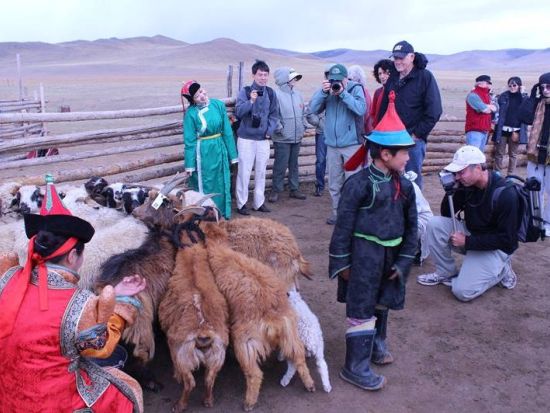 【日帰り or 1泊2日】モンゴル大草原で野生馬に出会う！ホスタイ国立公園ツアー＋遊牧民宅訪問プライベートツアー＜日本語ガイド／ウランバートル発＞