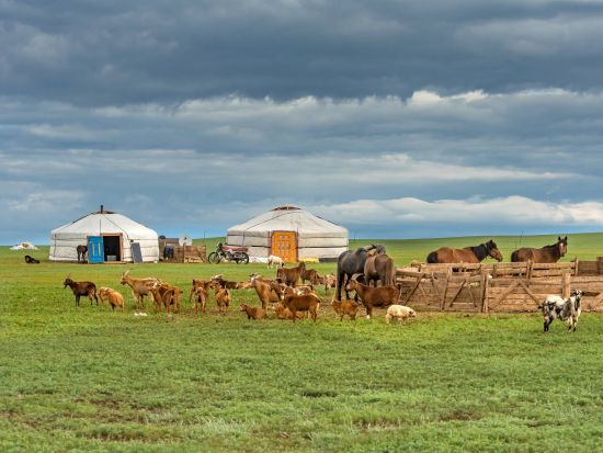 【プライベート】日帰りモンゴル満喫ツアー！テレルジ国立公園で乗馬体験＆絶景トレッキング ＜日本語ガイド／昼食付き＞