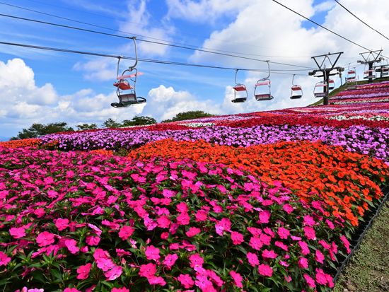 pixta_94286471_M (1)