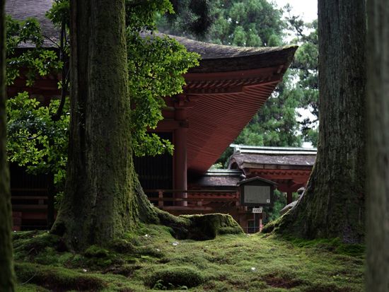 enryakuji_experience_06_07