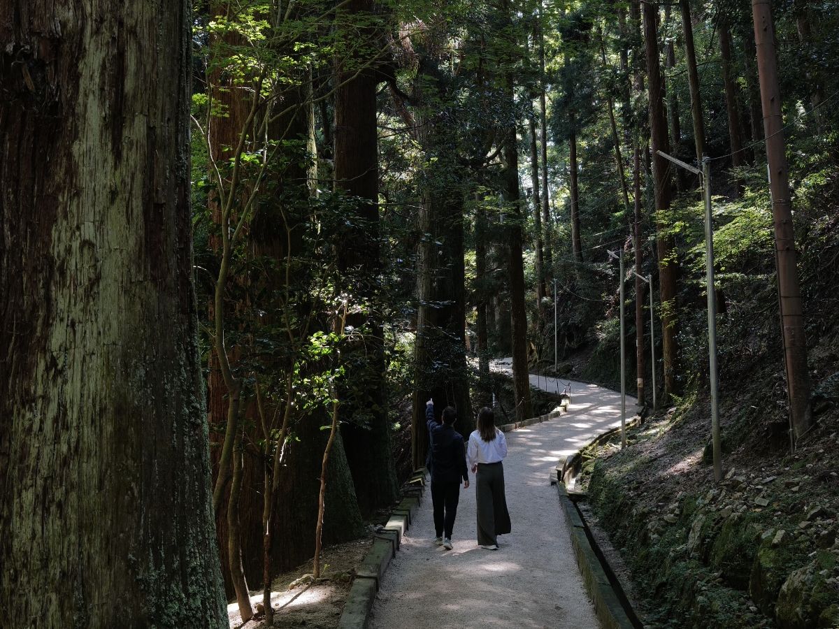 Mt. Hiei Trekking Tour