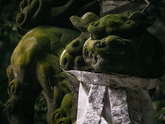 enryakuji_experience_07_12