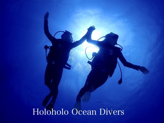 体験ダイビング　ワイキキ沖　4名までの少人数制！ウミガメ遭遇率が高いエリアでダイビング<ボート/2ダイブ/日本語＞ by ホロホロ・オーシャン・ダイバーズ