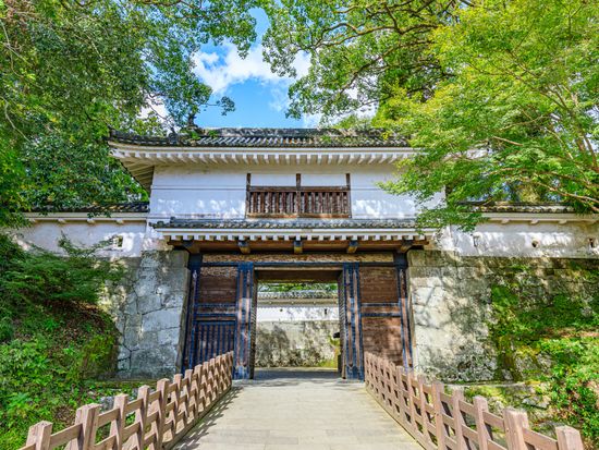 pixta_96182037_秋の飫肥城跡宮崎県日南市