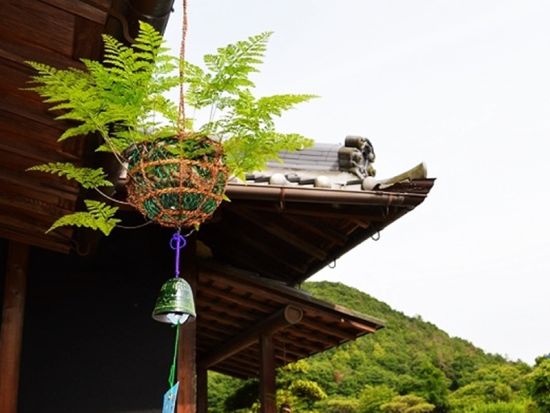 つりしのぶ制作体験 宝塚・つりしのぶ園で和の涼を体感するひととき＜約100分／午前 or 午後／宝塚市＞