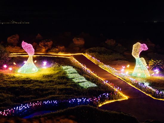 草皮區「富麗花園女王盛宴」_0