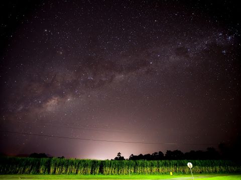 星空鑑賞＆ワイルドアニマル探索ナイトツアー！美しい夜空に輝く星とワラビーなどの夜行性動物を探しに行こう！＜夜発／日本語＞byどきどきツアーズ