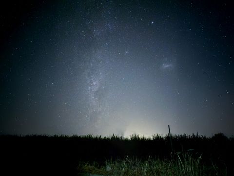 星空鑑賞＆ワイルドアニマル探索ナイトツアー！美しい夜空に輝く星とワラビーなどの夜行性動物を探しに行こう！＜夜発／日本語＞byどきどきツアーズ