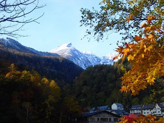 ダウンロード (1)