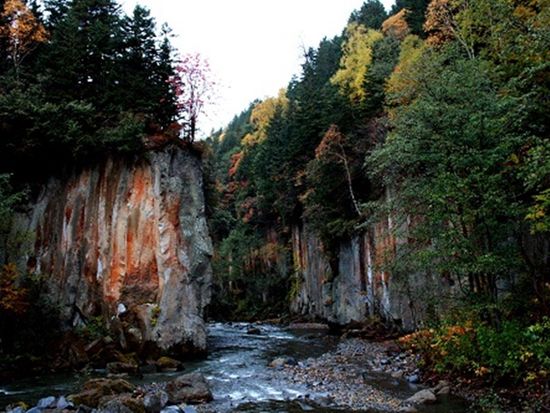 ダウンロード (2)