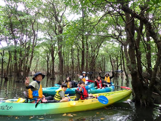 1.newマングローブ_4.5