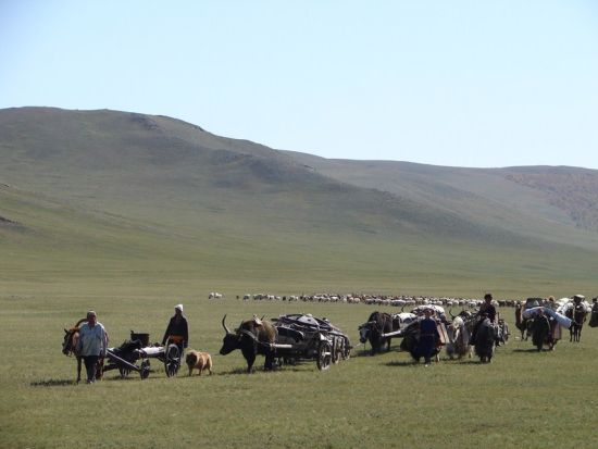 【プライベートツアー】遊牧民の暮らしを体験！モンゴルノマディックキャンプツアー ＜5月～10月／日帰り／ウランバートル発／日本語ガイド／昼食付き＞