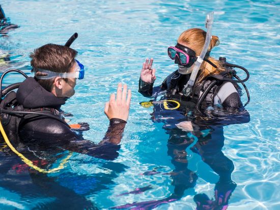 ファンダイビング　人気ポイント「シータートル・コーブ」でダイビング！リフレッシュコースあり＜ビーチ／2ダイブ＞by Hilo Ocean Adventures