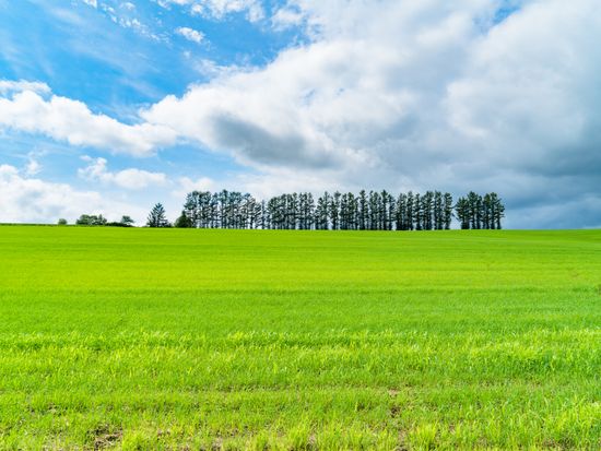 マイルドセブンのoka pixta_31114022_M