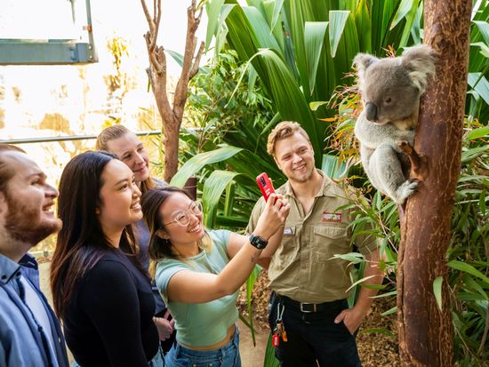 KoalaBreakfast Group w Koala-5945