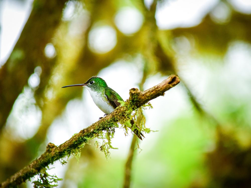 AdobeStock_362200781