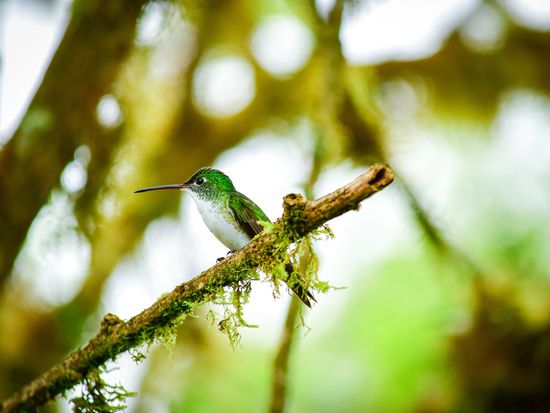 AdobeStock_362200781