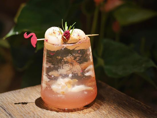 347424656_246090014836380_5481649219990973470_n