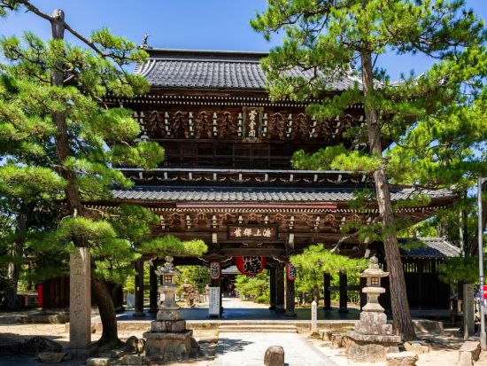 大阪発 日帰りバスツアー 天橋立＆伊根の舟屋 絶景と歴史を満喫！＜大阪発着／日本語・中国語or英語＞