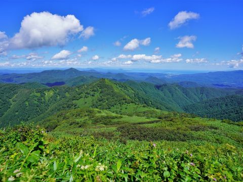 貸切観光タクシー 函館市内発着桜の名所松前城・日本初男性トラピスト修道院 ・男爵記念館・ 福島千代の富士記念館＜通年／函館市内発＞ by 道南ハイヤー